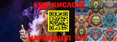 гашик Донецк