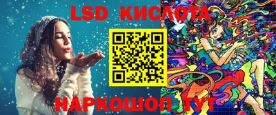 гашик Донецк