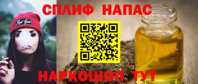 шишки Дубна