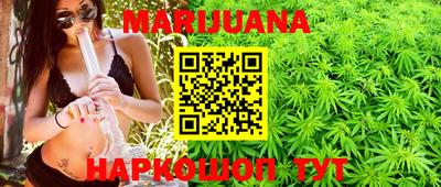 шишки Дубна
