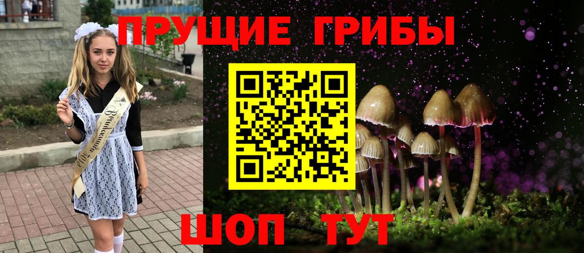 Псилоцибиновые грибы GOLDEN TEACHER Отрадный