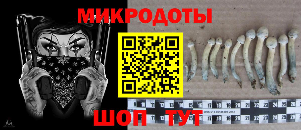 Галлюциногенные грибы Magic Shrooms  Псилоцибиновые грибы ЛСД  Отрадный  Вход с VPN 